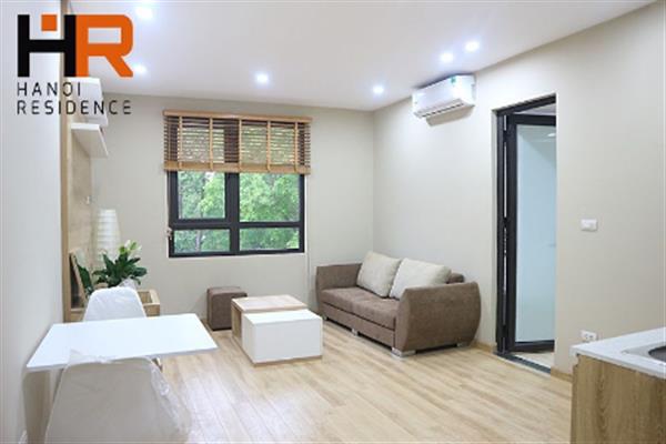 Newly one bedroom apartment for rent in Vong Thi street