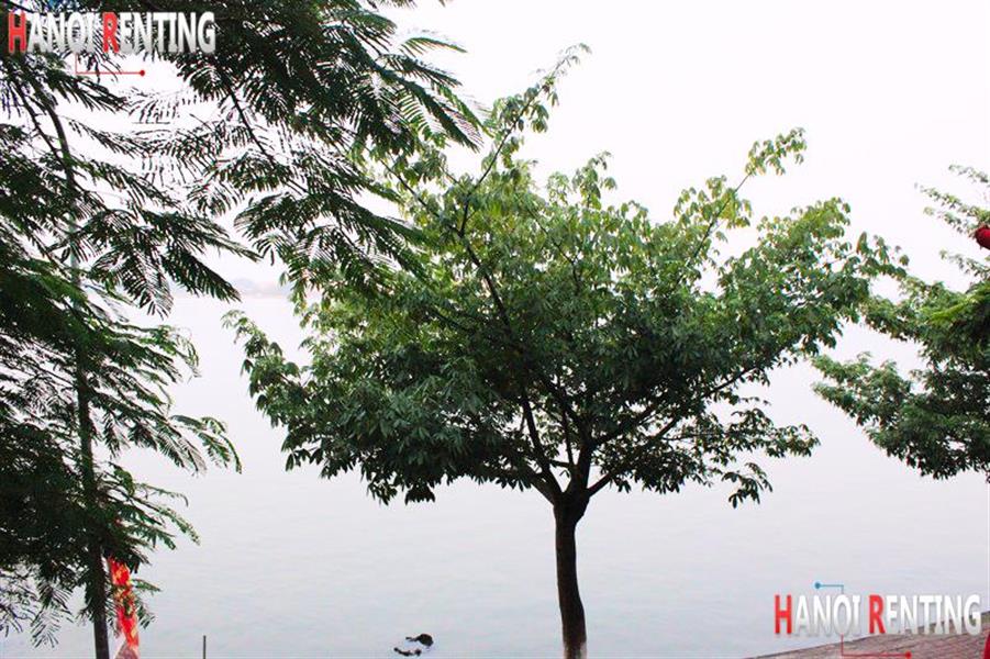 9hanoi apartment for rent lake view 92450